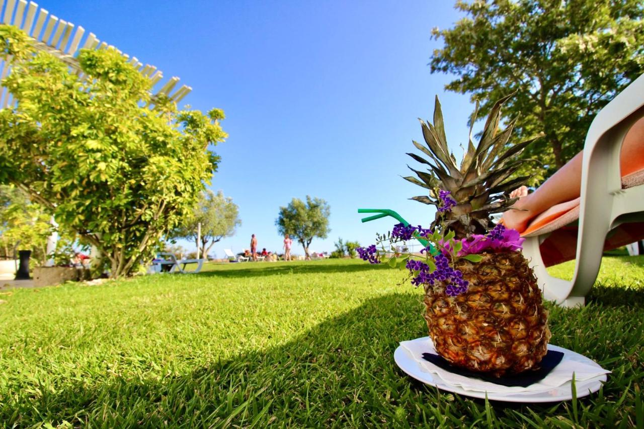 Monte Dos Pocos Hotel Aljustrel  Kültér fotó