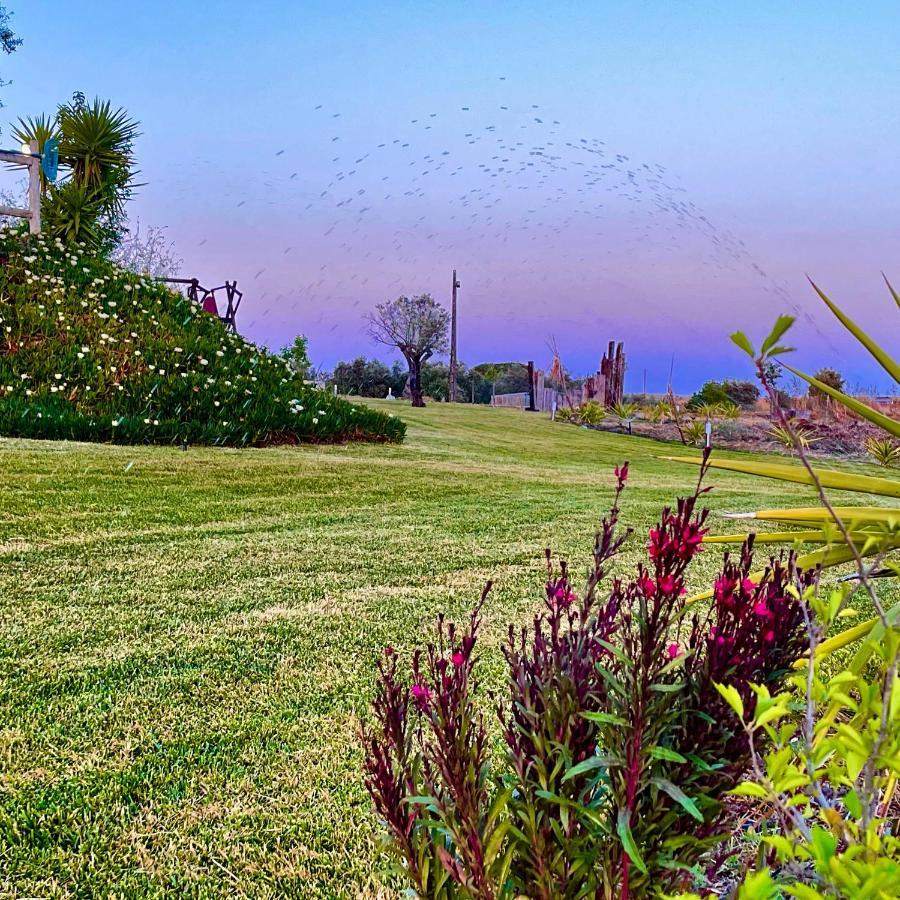 Monte Dos Pocos Hotel Aljustrel  Kültér fotó